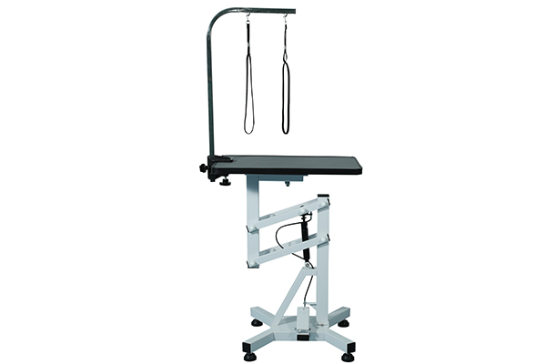 中国·7790必发集团(股份)有限公司-官方网站